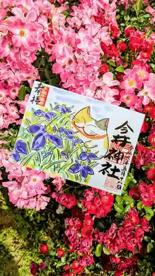 こちらが直書きしていただいたおまかせ御朱印
ゴン太君と季節の花の菖蒲で描いていただきました😺