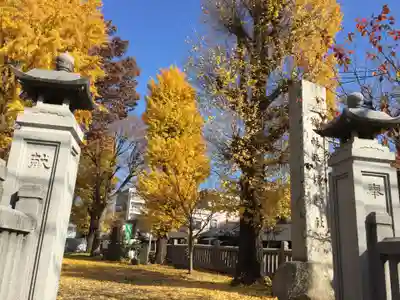 平塚神社のその他建物