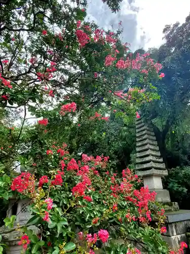 上合寺(福島県)