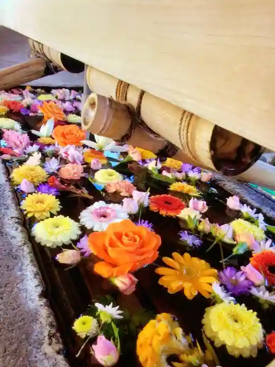 鳩森八幡神社(東京都)
