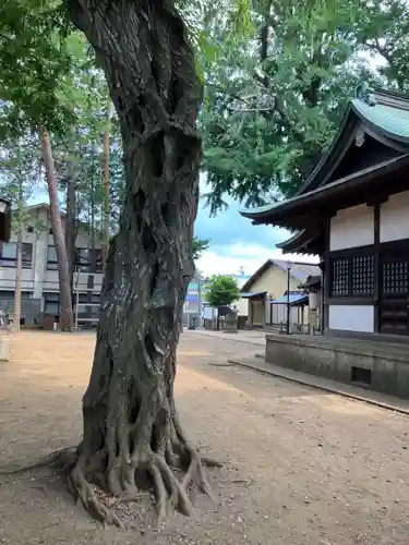井口八幡神社(東京都)