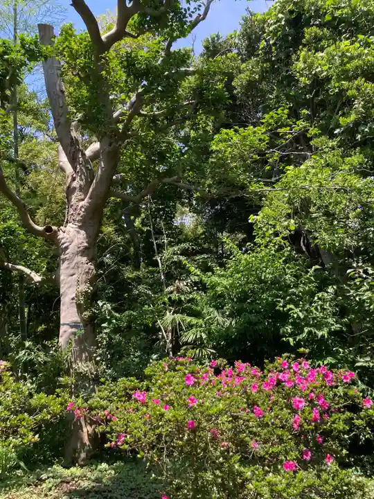 大庭神社(神奈川県)