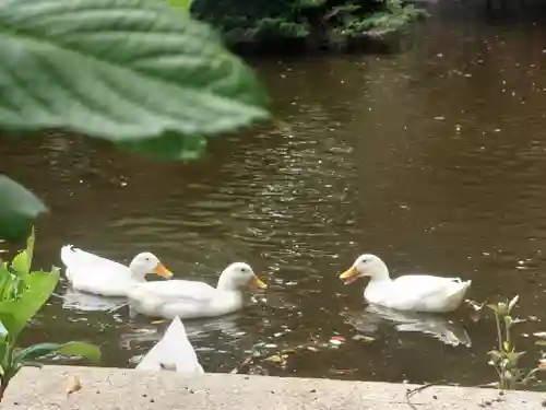 平塚八幡宮(神奈川県)