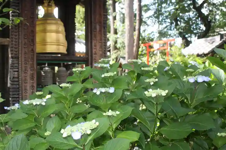 正楽寺(滋賀県)