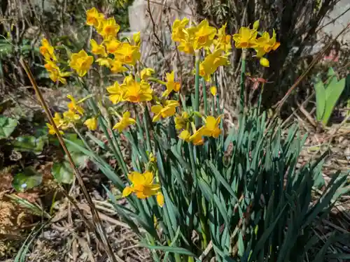 正行寺(岐阜県)
