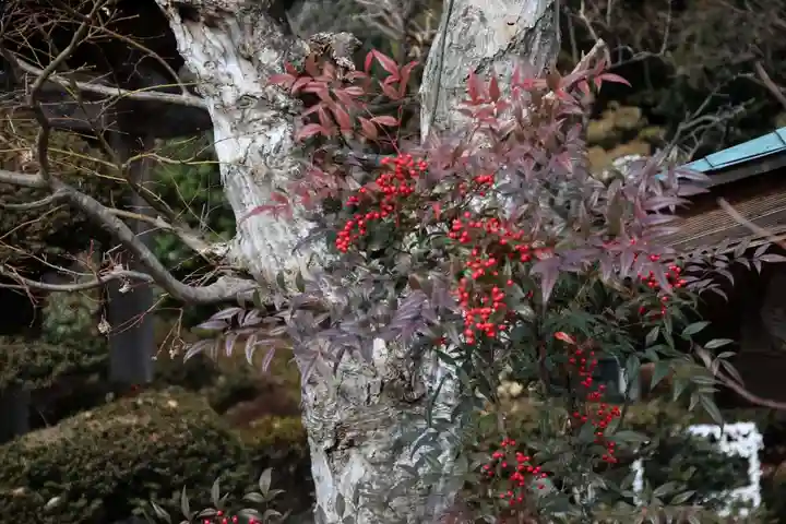 鹿島大神宮の自然