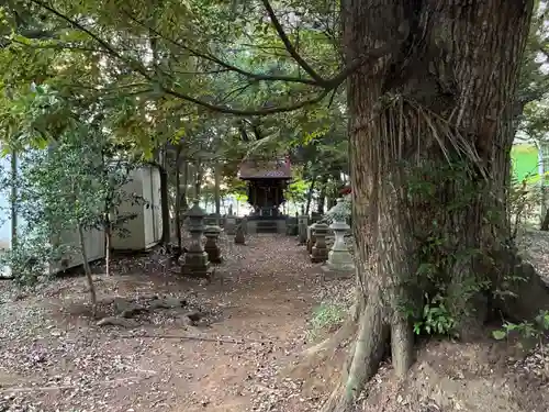 稲荷神社(千葉県)