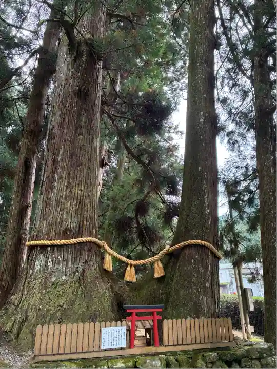 室生龍穴神社(奈良県)