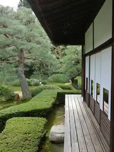 雲龍院の庭園