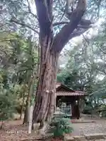 多陀寺(島根県)