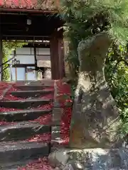 金福寺の山門