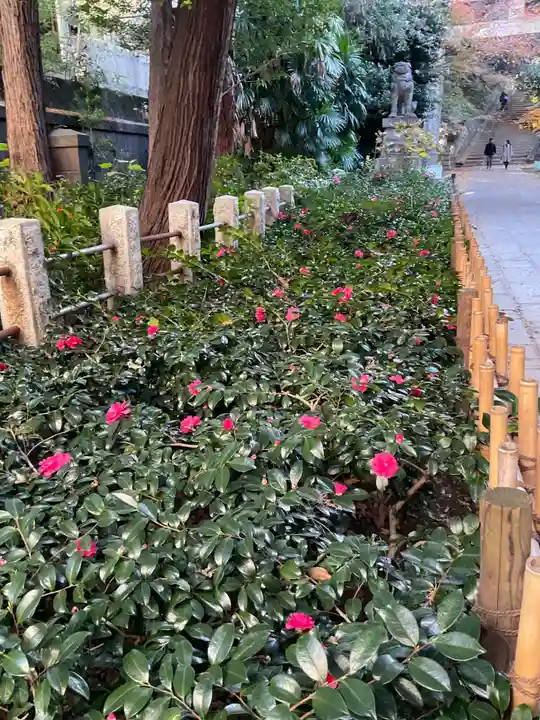 赤坂氷川神社(東京都)
