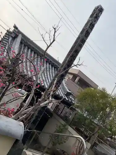 秋月院(愛知県)