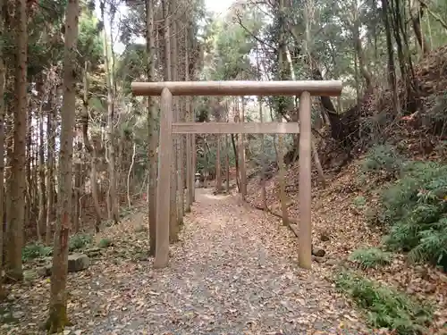 出雲大神宮の鳥居