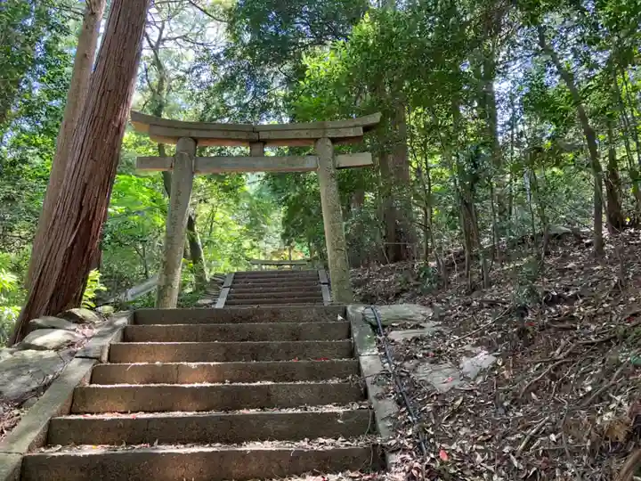 龍河神社の鳥居