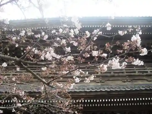 光明寺の山門・神門