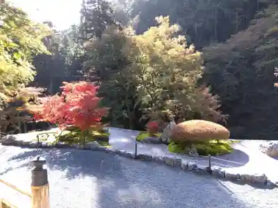 古知谷阿弥陀寺(京都府)