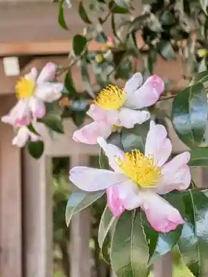 大正寺(東京都)