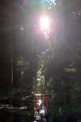 箱根神社(神奈川県)