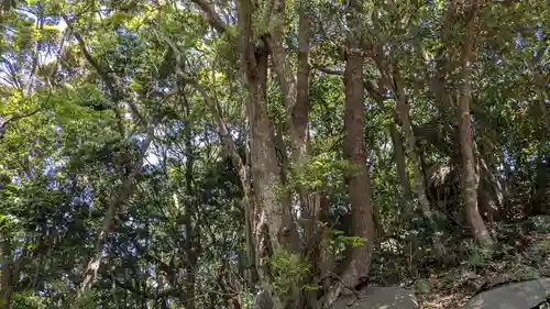 黒島神社の自然