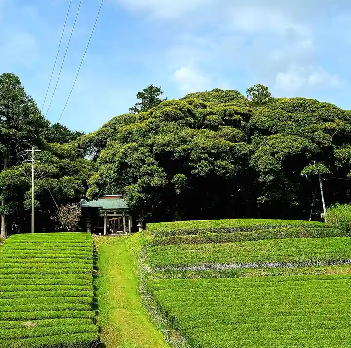 八幡神社(静岡県)