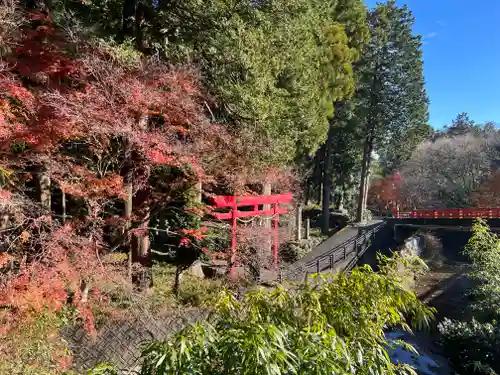 須山浅間神社の鳥居