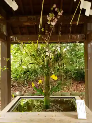 赤坂氷川神社(東京都)