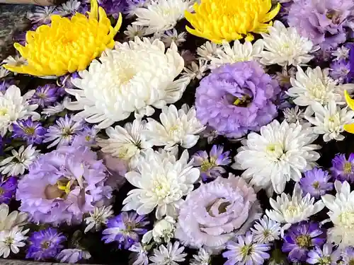 高円寺氷川神社の手水舎