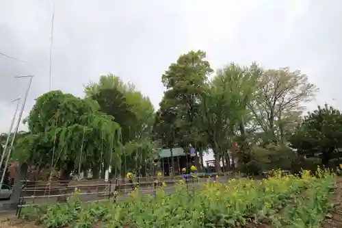 熊野福藏神社の景色