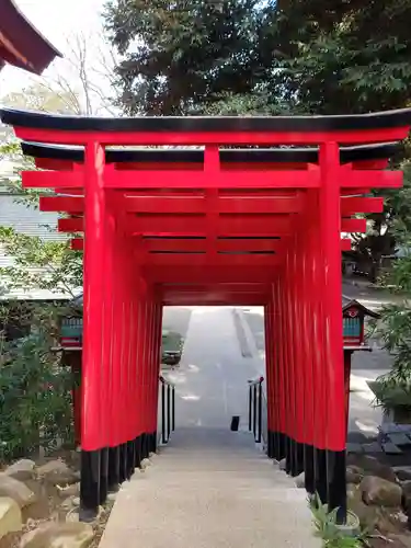 乃木神社の鳥居