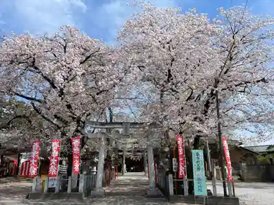 駒形神社(群馬県)