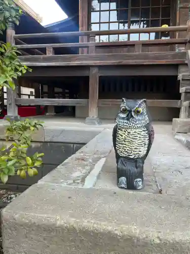 桜神宮の{uncategorized: "未分類", other: "その他", undefined: "問題あり", building: "その他建物", grave: "お墓", sacred_gate: "鳥居", guardian: "狛犬", statue: "像", buddha: "仏像", history: "歴史", nature: "自然", garden: "庭園", animal: "動物", pagoda: "塔", temizu: "手水舎", mountain_gate: "山門・神門", sanctuary: "本殿・本堂", subordinate: "末社・摂社", art: "芸術", scenery: "景色", jizo: "地蔵", ema: "絵馬", goshuin: "御朱印", omikuji: "おみくじ", items: "授与品その他", amulet: "お守り", goshuincho: "御朱印帳", eats: "食事", festival: "お祭り", votive_dance: "神楽", shichigosan: "七五三参", wedding: "結婚式", experience: "体験その他", initially: "初詣", around: "周辺", anti_infection: "感染症対策"}
