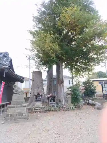 八枝神社のその他建物
