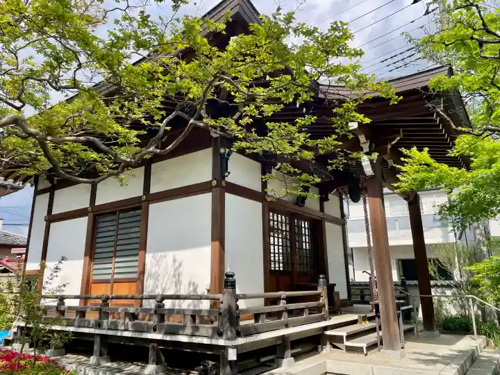 薬王院の{uncategorized: "未分類", other: "その他", undefined: "問題あり", building: "その他建物", grave: "お墓", sacred_gate: "鳥居", guardian: "狛犬", statue: "像", buddha: "仏像", history: "歴史", nature: "自然", garden: "庭園", animal: "動物", pagoda: "塔", temizu: "手水舎", mountain_gate: "山門・神門", sanctuary: "本殿・本堂", subordinate: "末社・摂社", art: "芸術", scenery: "景色", jizo: "地蔵", ema: "絵馬", goshuin: "御朱印", omikuji: "おみくじ", items: "授与品その他", amulet: "お守り", goshuincho: "御朱印帳", eats: "食事", festival: "お祭り", votive_dance: "神楽", shichigosan: "七五三参", wedding: "結婚式", experience: "体験その他", initially: "初詣", around: "周辺", anti_infection: "感染症対策"}