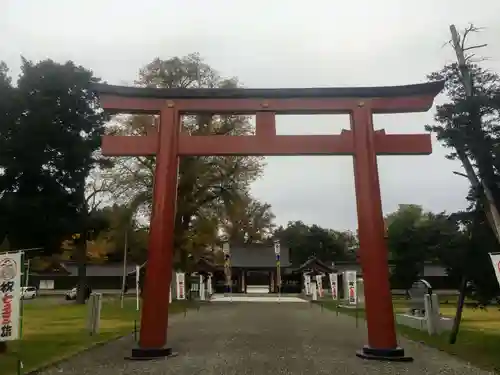 北海道護國神社の鳥居