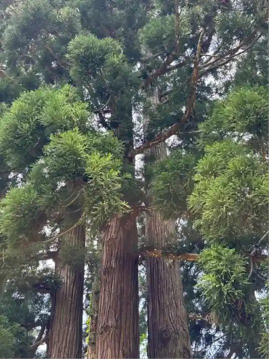 伊夜彦神社(福島県)