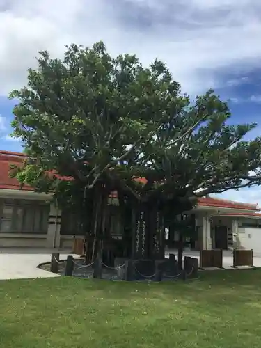 沖縄県護国神社の自然