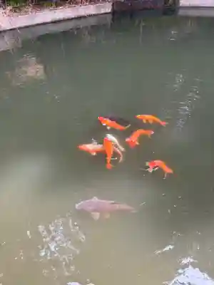 巌島神社(茨城県)