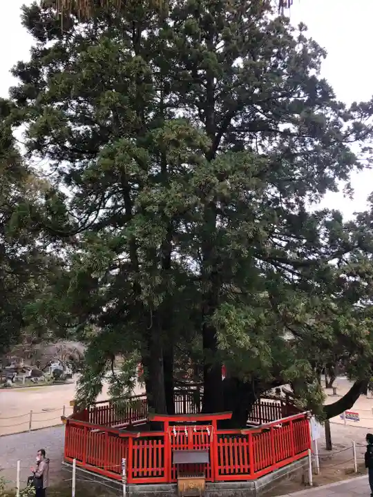 香椎宮(福岡県)