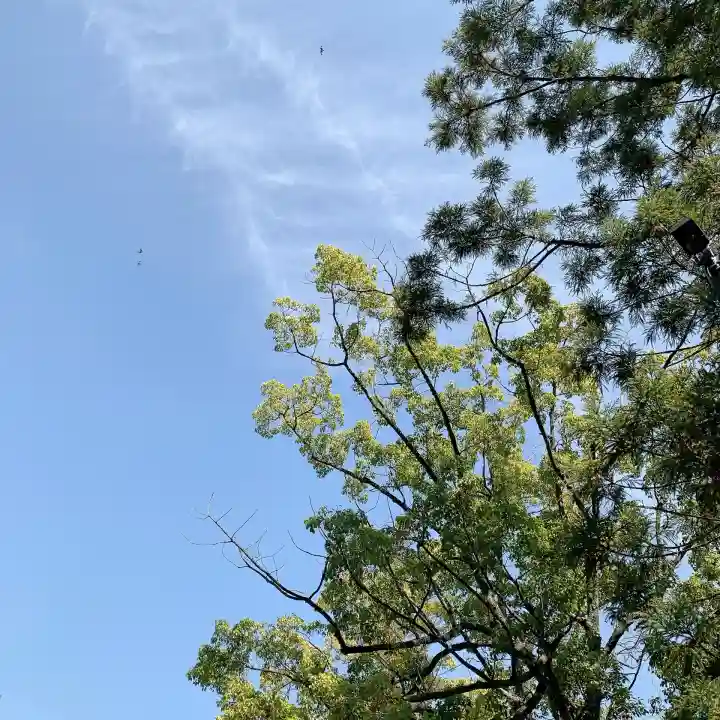 闘鶏神社の{uncategorized: "未分類", other: "その他", undefined: "問題あり", building: "その他建物", grave: "お墓", sacred_gate: "鳥居", guardian: "狛犬", statue: "像", buddha: "仏像", history: "歴史", nature: "自然", garden: "庭園", animal: "動物", pagoda: "塔", temizu: "手水舎", mountain_gate: "山門・神門", sanctuary: "本殿・本堂", subordinate: "末社・摂社", art: "芸術", scenery: "景色", jizo: "地蔵", ema: "絵馬", goshuin: "御朱印", omikuji: "おみくじ", items: "授与品その他", amulet: "お守り", goshuincho: "御朱印帳", eats: "食事", festival: "お祭り", votive_dance: "神楽", shichigosan: "七五三参", wedding: "結婚式", experience: "体験その他", initially: "初詣", around: "周辺", anti_infection: "感染症対策"}