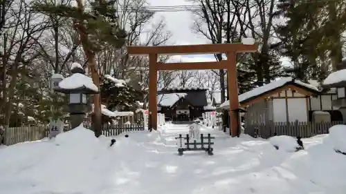 旭川神社の鳥居