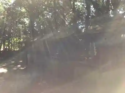 阿宗神社(兵庫県)