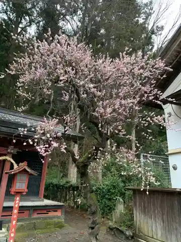 宇都宮神社(白岩町)の本殿・本堂