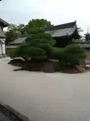 東寺（教王護国寺）(京都府)