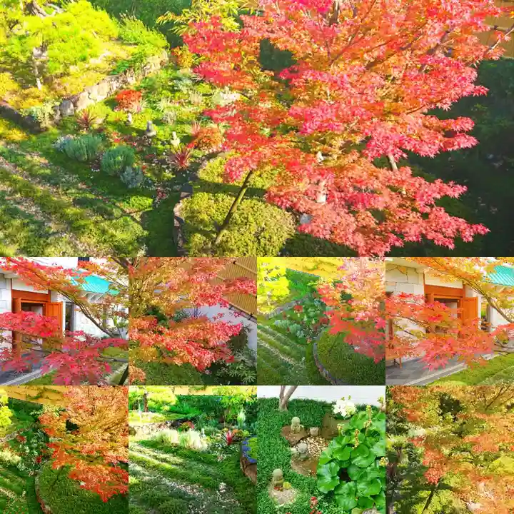 寿量山 速成寺の自然