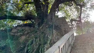 祇園神社(岡山県)
