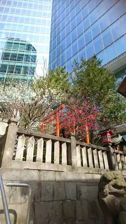 六本木天祖神社の自然