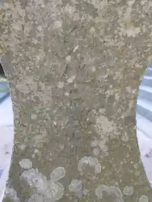 高瀧神社(千葉県)