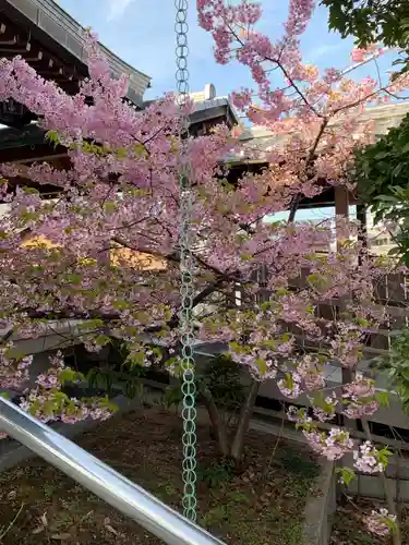 無量光寺の自然