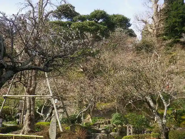 長谷寺の自然